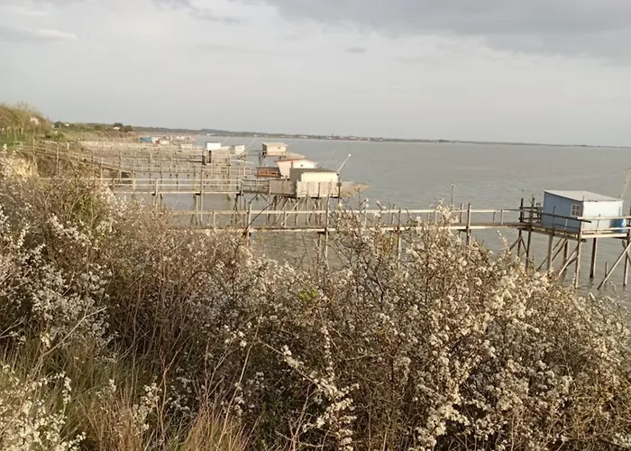 Chez Cathy Et Jean Loup Pensión Port-des-Barques